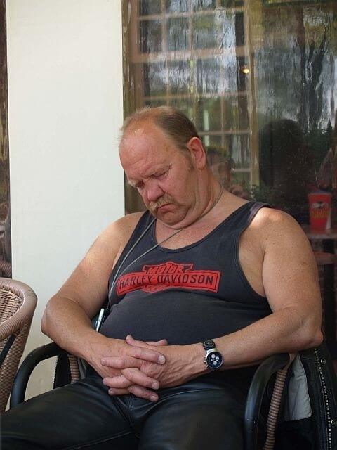 de Volmolen 2008